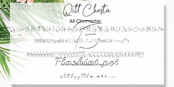 Qitt Chesta - Sweat Monoline Font - Free Font